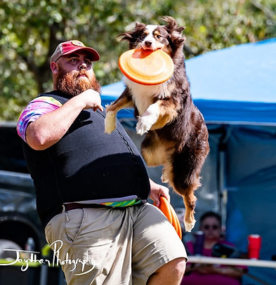Houston Dog Show