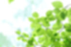 6d2ceceab7cab5ffa09a2b262fe5cba8_l.jpg