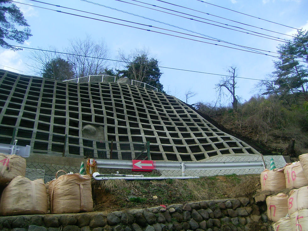 栗生道路防災合冊工事(法面部分)