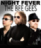 Thumbnail: NIGHT FEVER: The Bee Gees Tribute