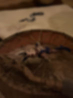 Shamanic Sound Medicine    