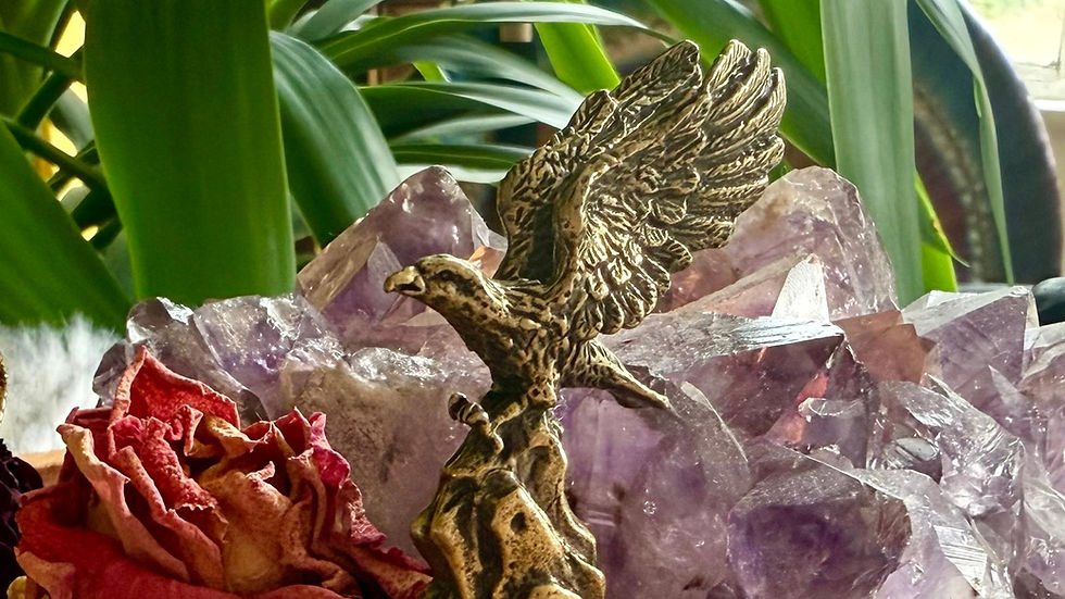 EAGLE / CONDOR — Visioning the Future. Accessing Soul Perspective and Heart Wisdom