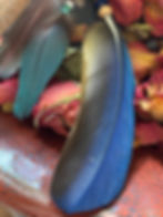 Shamanic Journeying & Sound Healing in Skipton