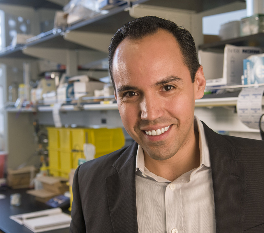 Luis M. Campos, Ph.D