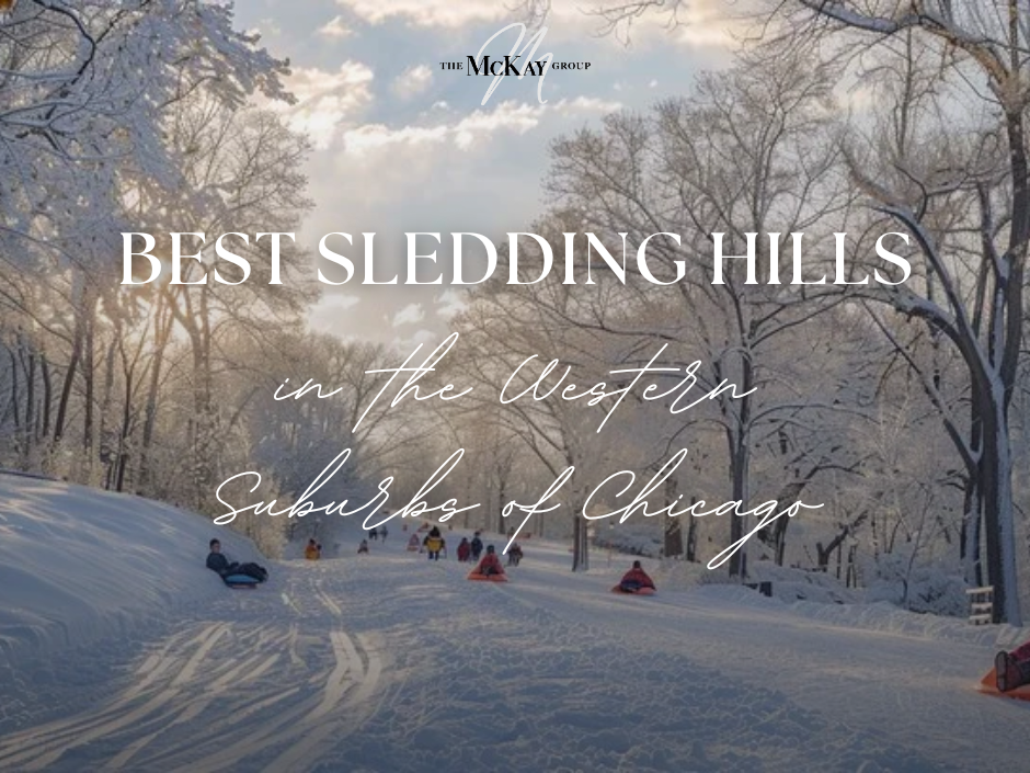 Kids sledding down long, snowy sledding hill between trees