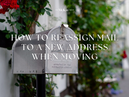 Silver Mailbox next to white building and greenery