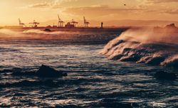 _MG_9518-2