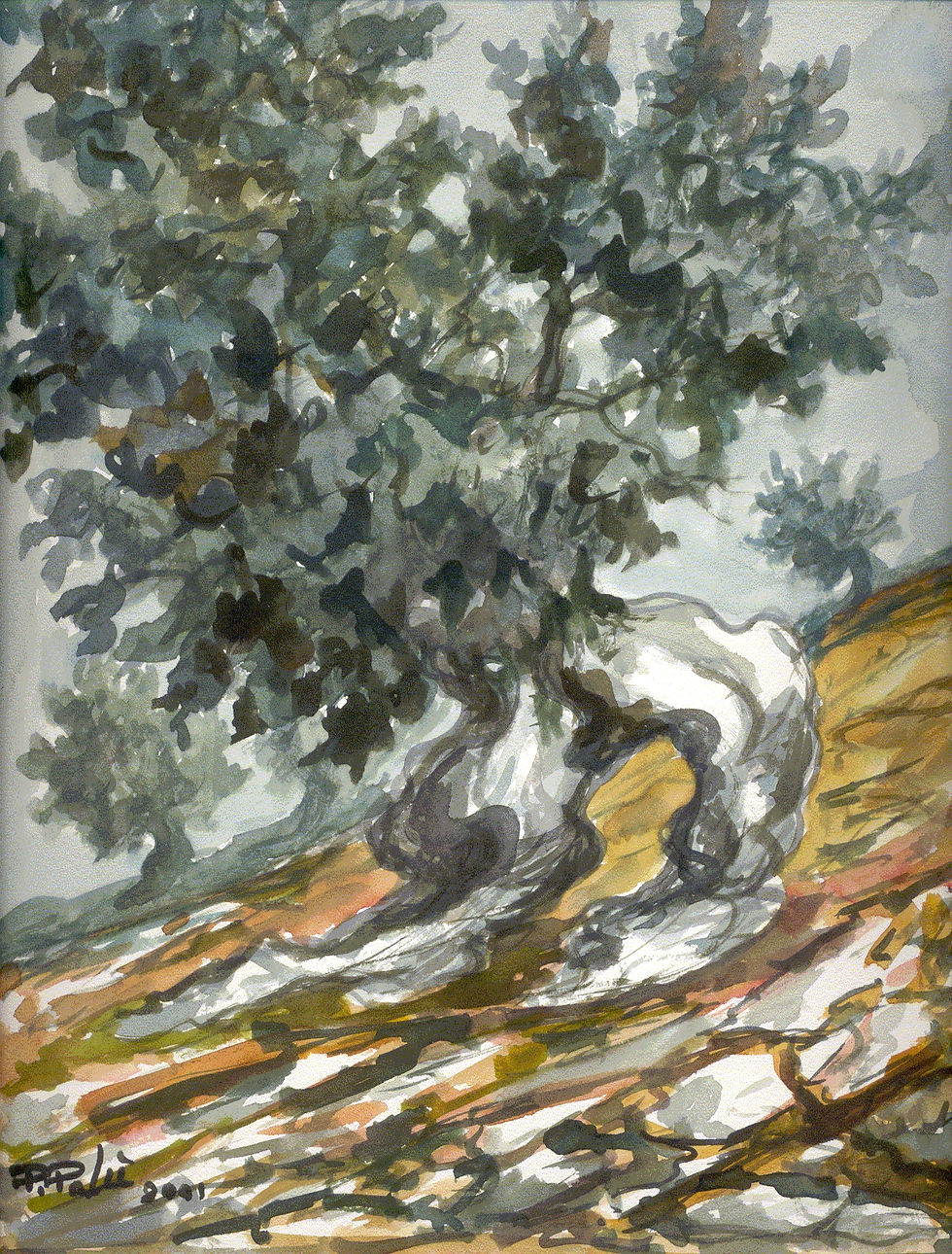 ulivo