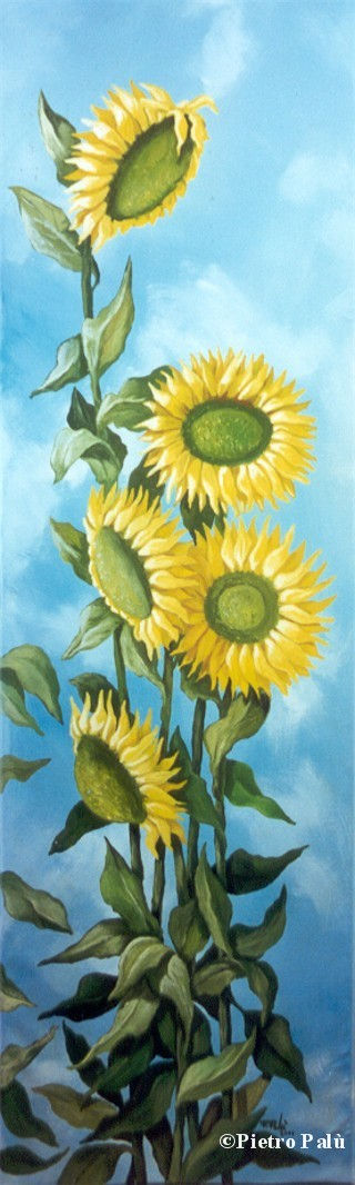 Web girasoli100x40.jpg