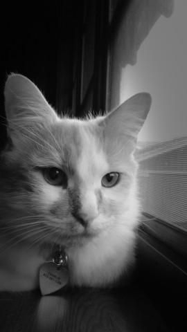 Old Timey