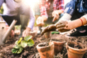 Children in gardening class