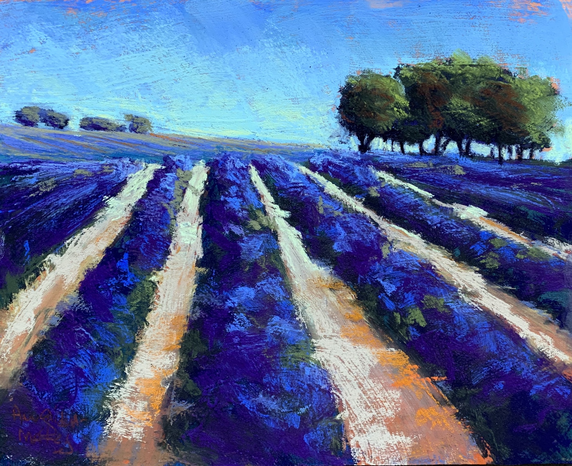 Endless Lavender