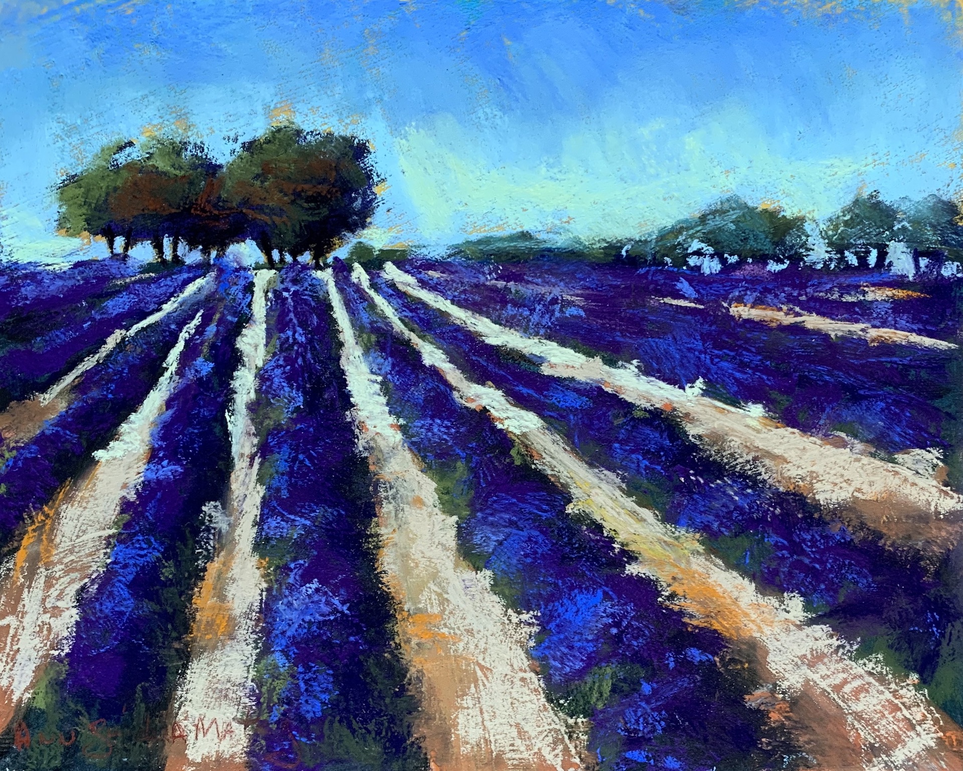 Lavender Field