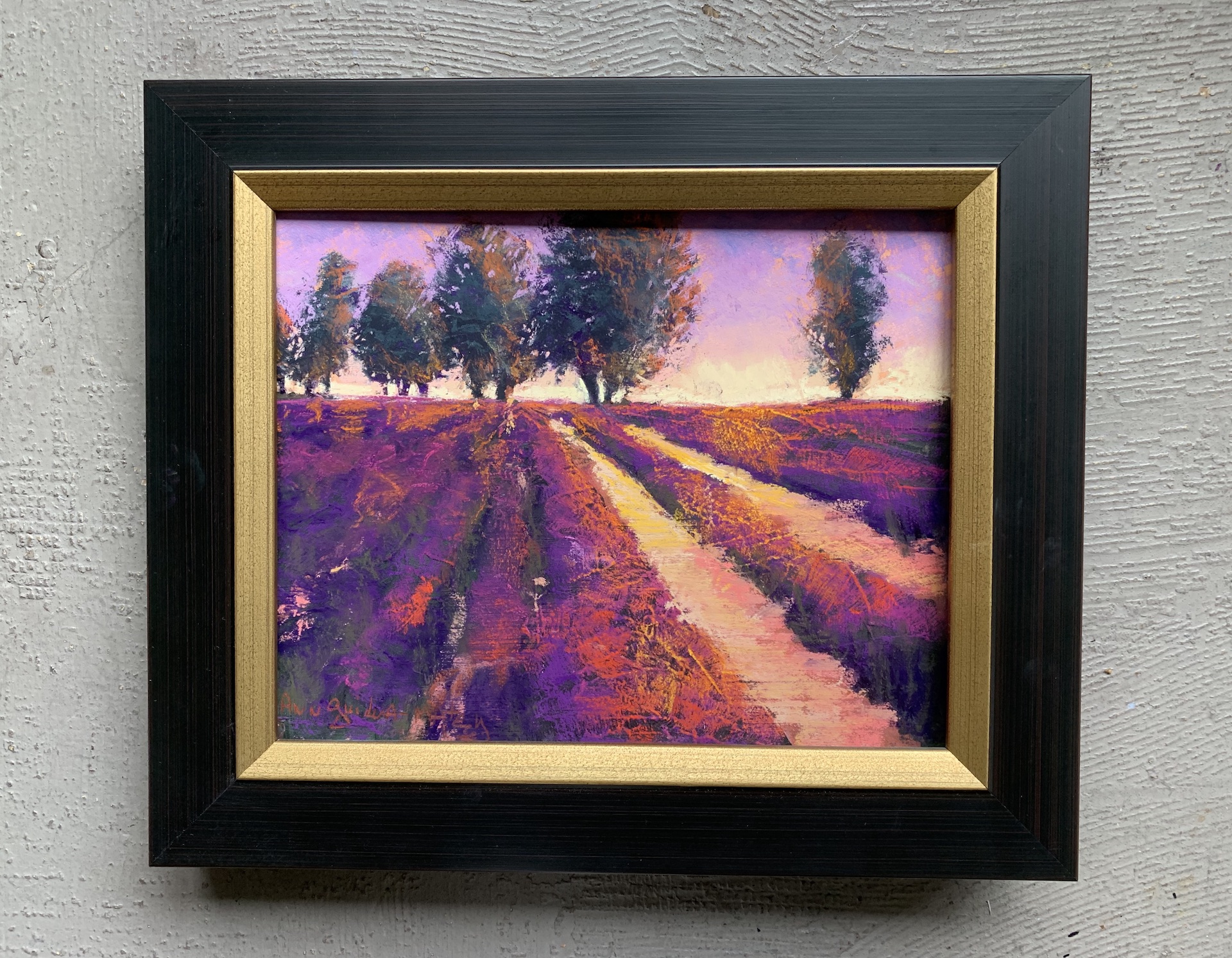Lavender @ Sunset