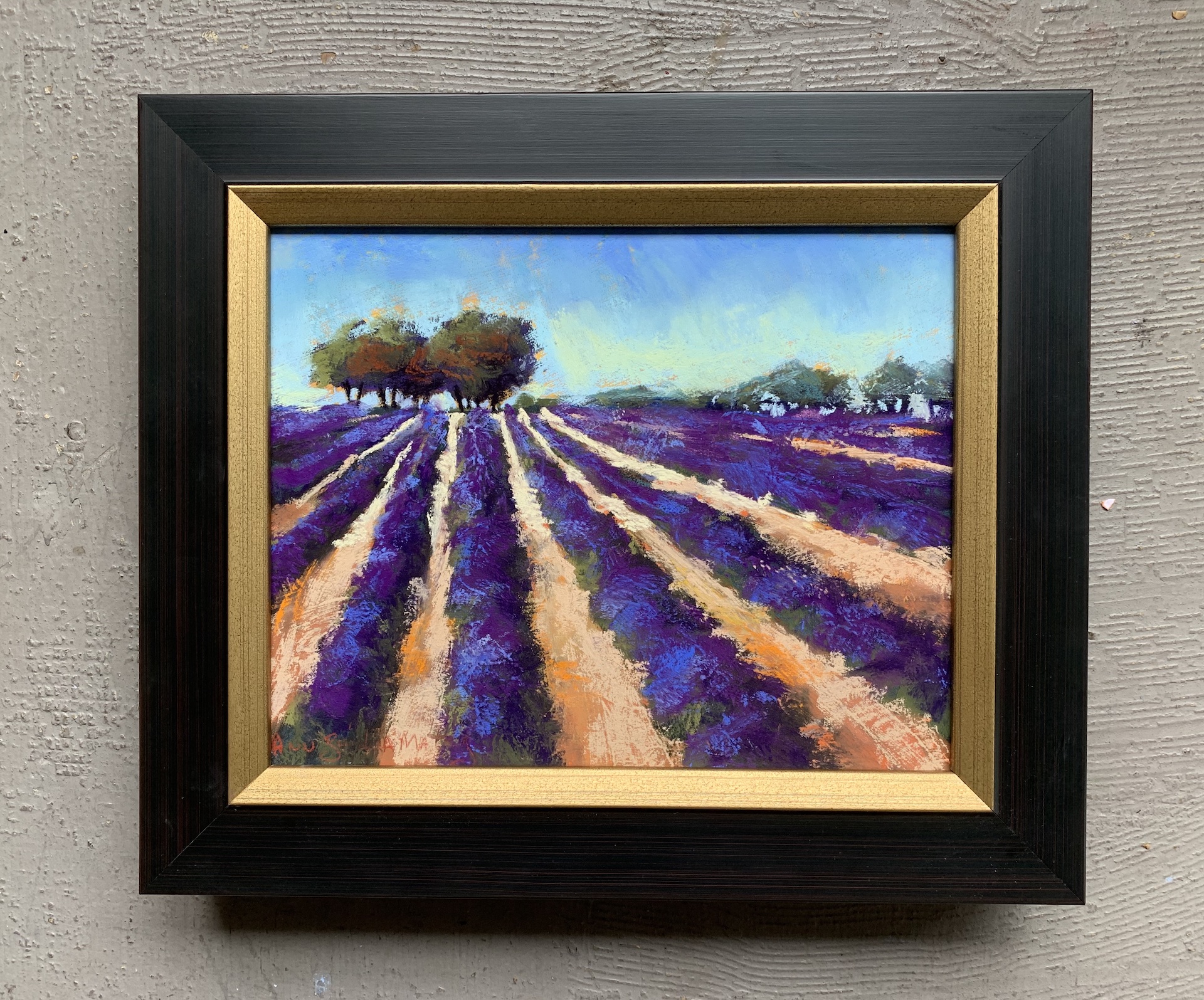 Lavender Field