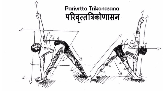 Prendre la posture du triangle inversé en Yoga