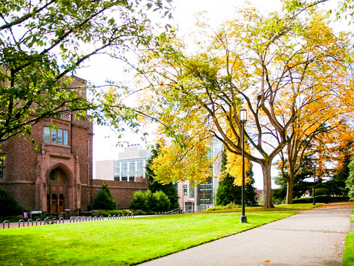 Duke finally beats Ivies… in income inequality