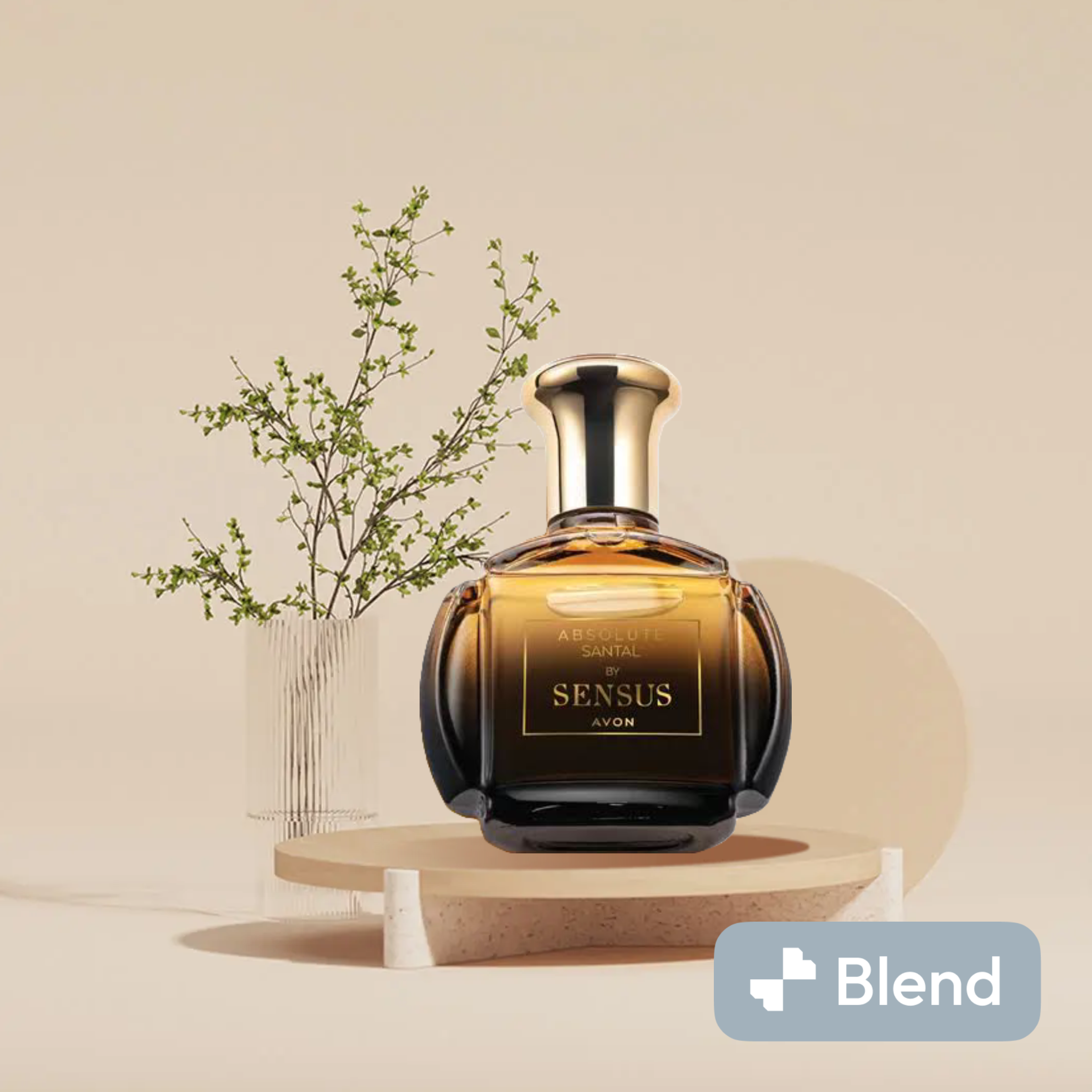 ABSOLUTE SANTAL BY SENSUS