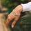 Thumbnail: Crown of Laurel Medium Bracelet