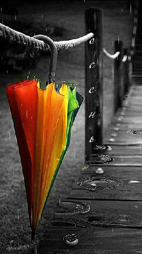 7f5513d57c19a07198e6081a6c388812.jpg.gif