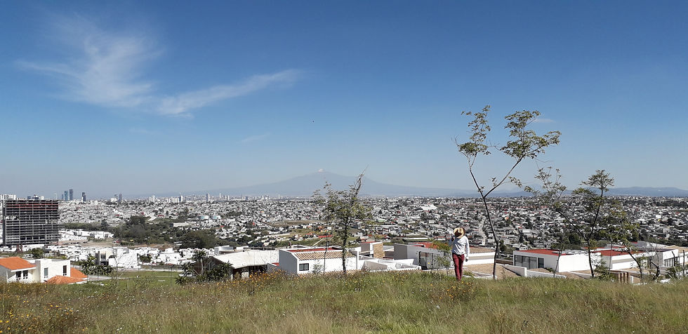 TERRENO