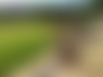 AURÉLIEN: FOUND A JOB! :-)