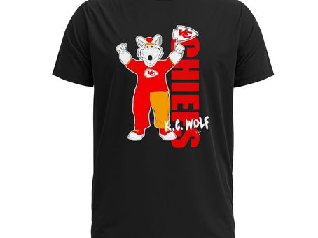 A Fan’s Paradise: Exploring the World of NFL Super Bowl Apparel