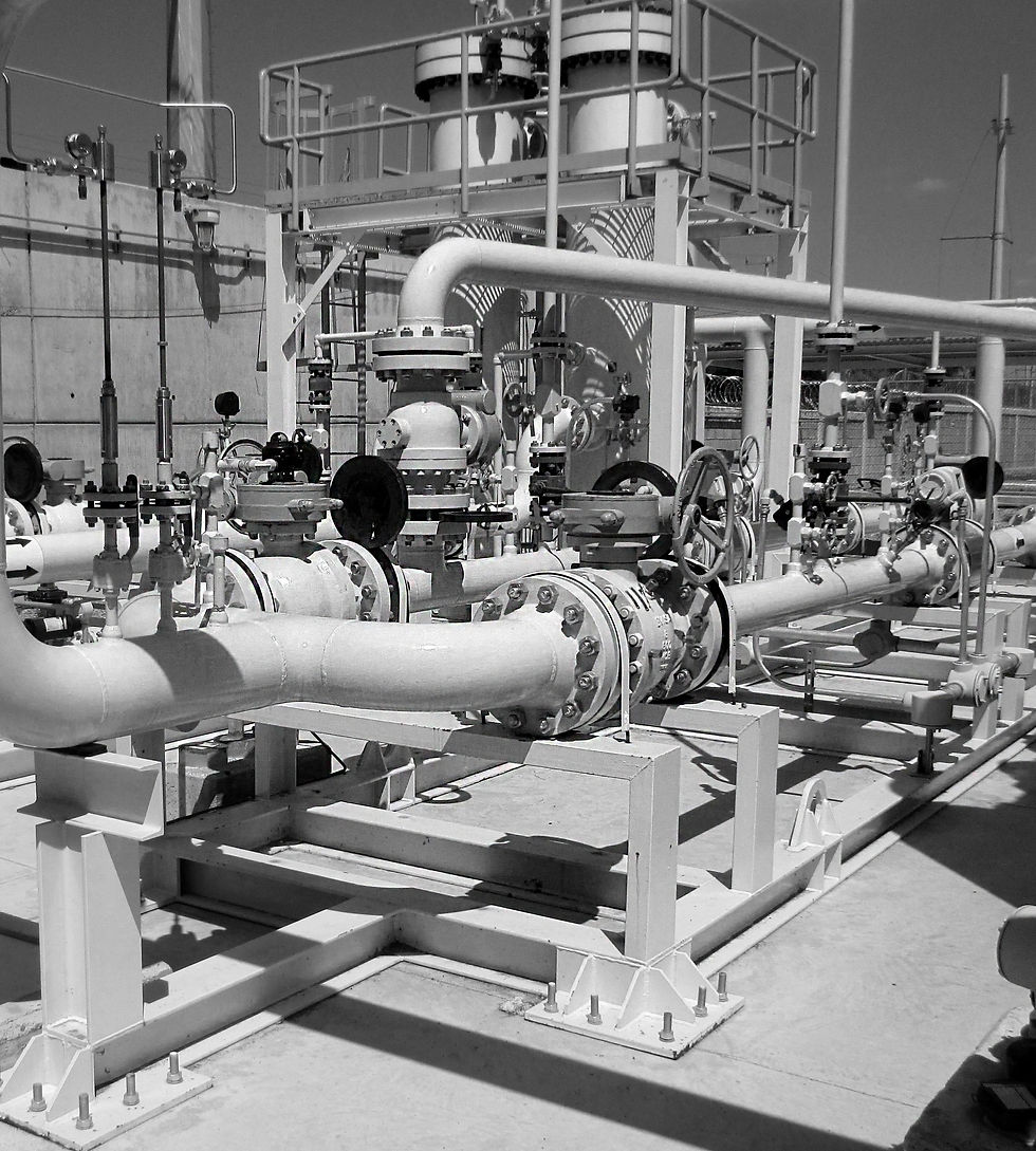 SERVICIOS DE INSTRUMENTACIÓN