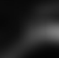 The future of architecture companies