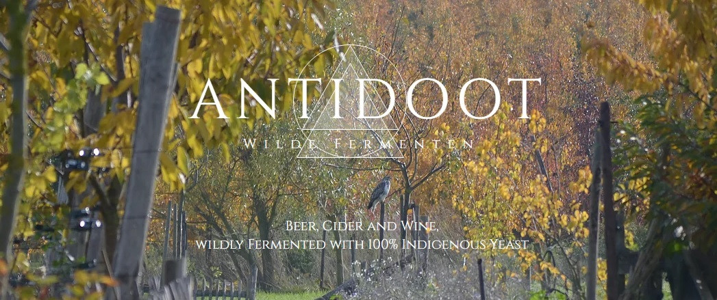 antidoot wilde fermenten