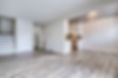 Before Vacant Living/Dining Room