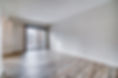 Before Vacant Living Room