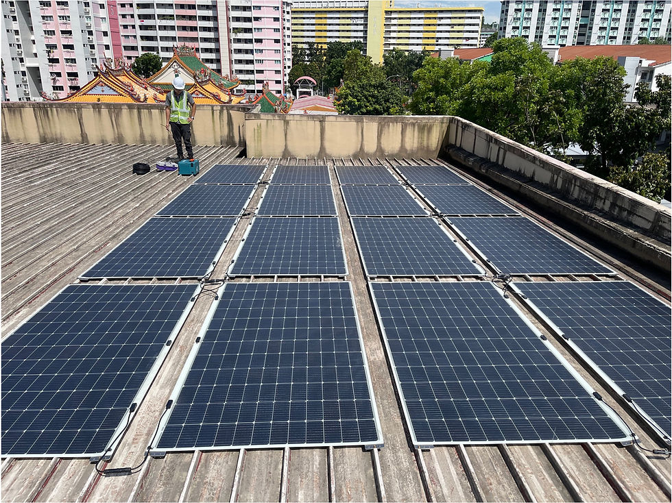 LGR Solar Panel Singapore's CC .jpg