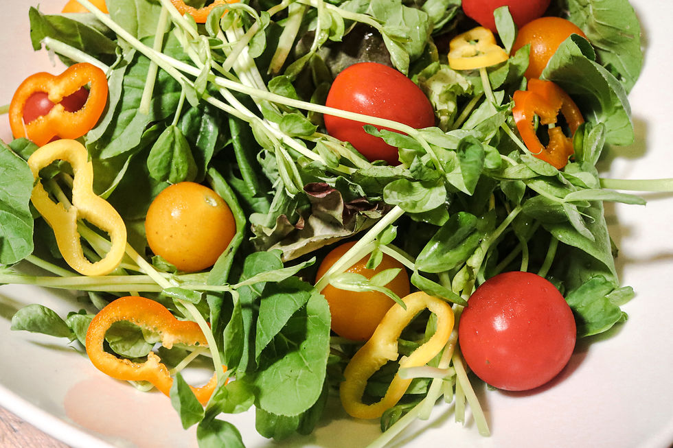 Salad (2-3人) image