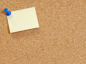 CAMP POP! Signups are Now Open