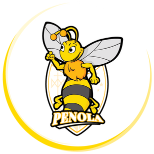 Character Mascots - MSJ