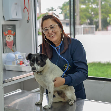 Médica Veterinária auscultando o coração de um cão preto e branco porte pequeno