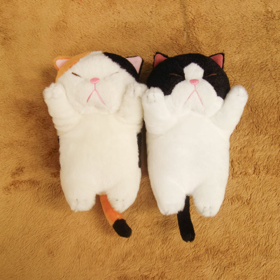 ぼうみたいなねこ (厭世貓S)