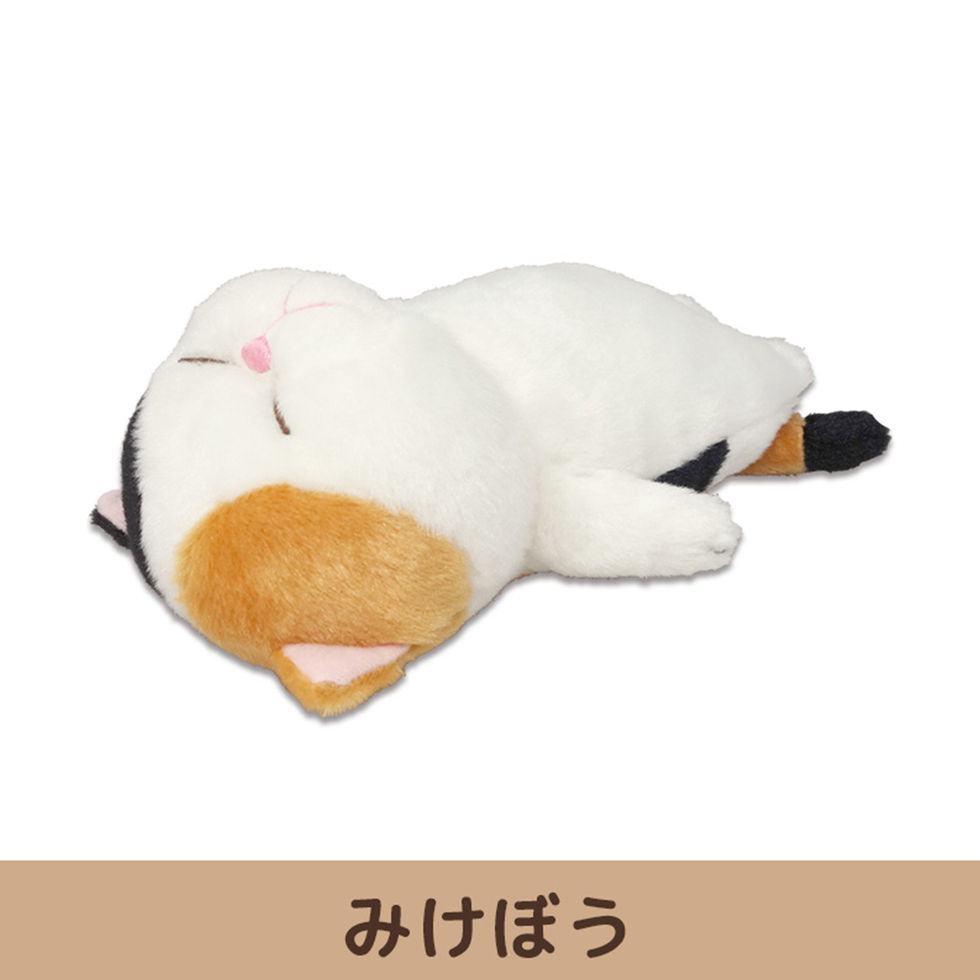 ぼうみたいなねこ (躺平貓S)