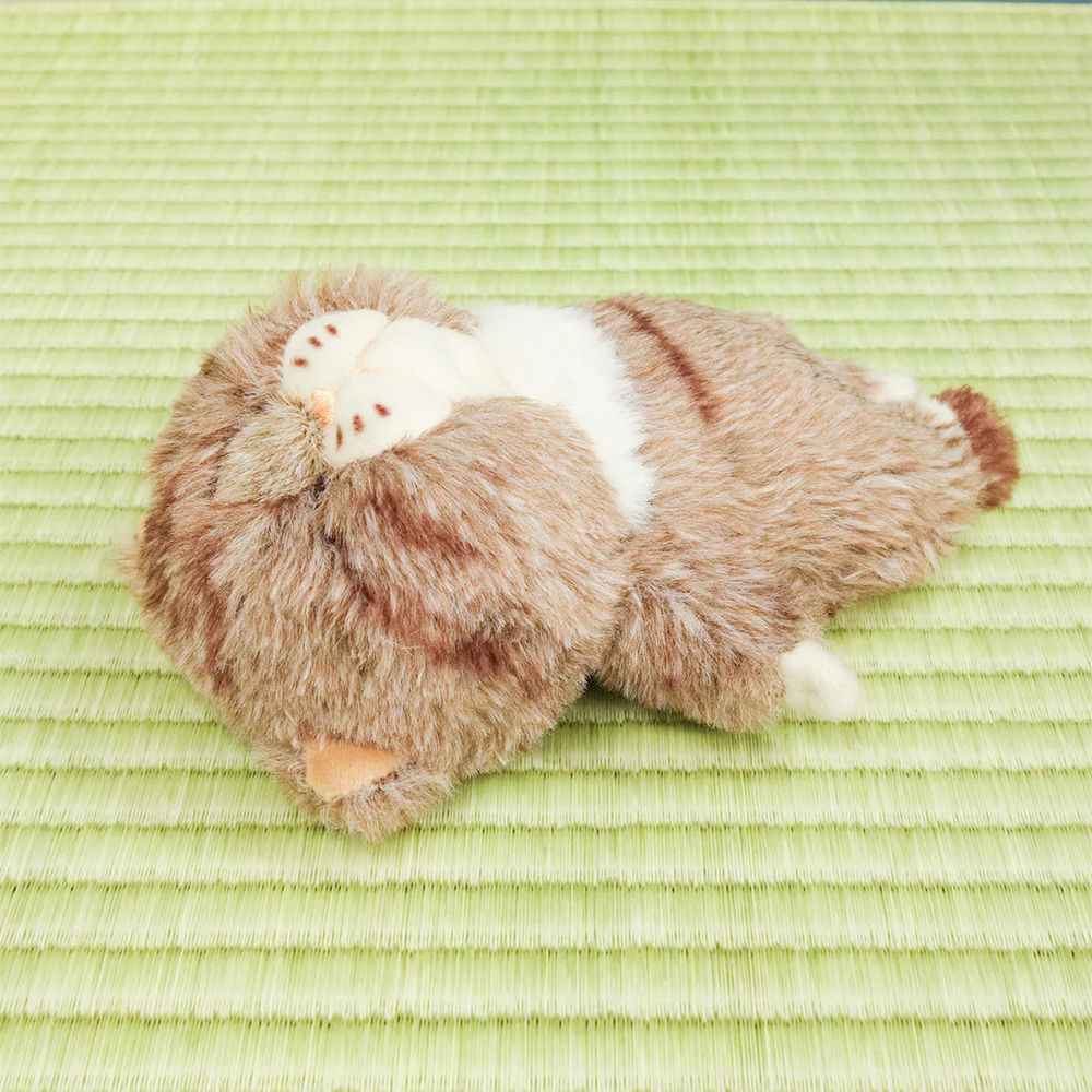ぼうみたいなねこ 面臨絕種貓科系列