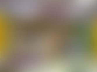 【台隆手創館 × 日本棒貓】療癒系快閃店，萌力滿點！