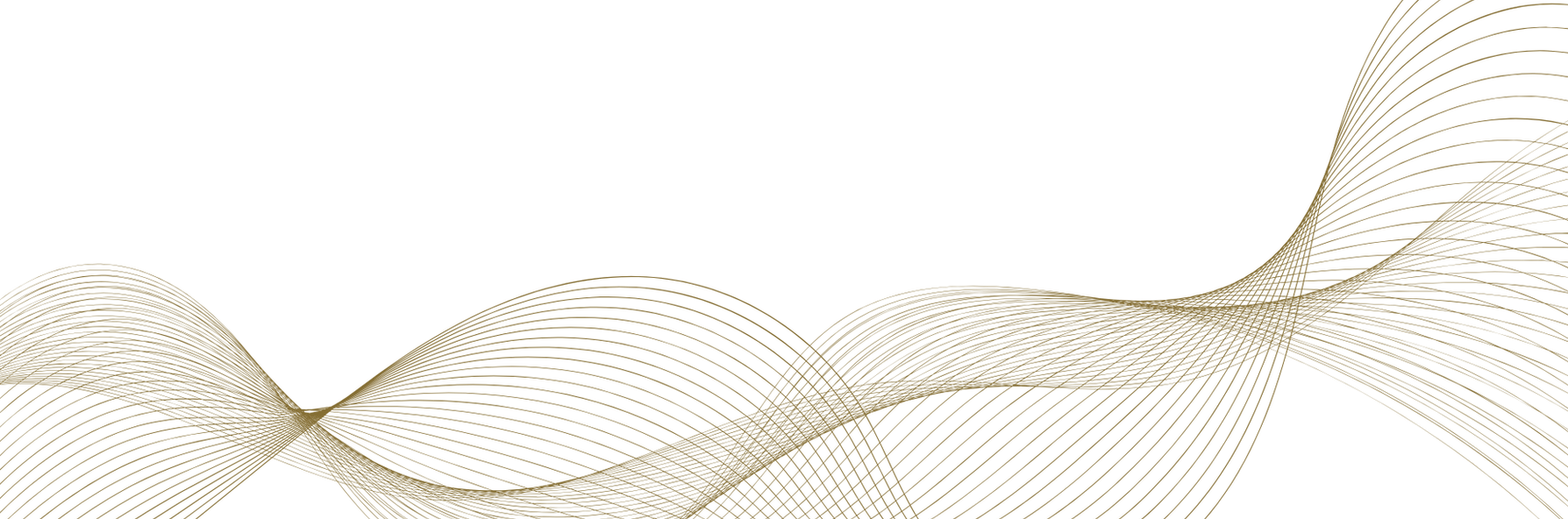 D&B Entertainment Studios Branding Kit (3).png