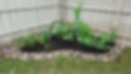 Hatfields Corner Rock Garden
