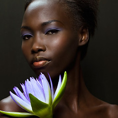 Black Beauty