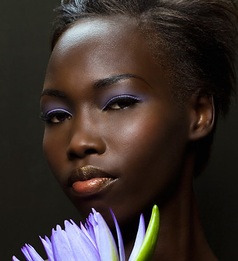Black Beauty