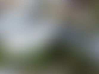 Bourses d'études 400 Deakin University en Australie 2023 | Financé