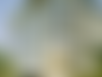 BOURSES DE L’INSTITUT FRIEDRICH MIESCHER EN SUISSE