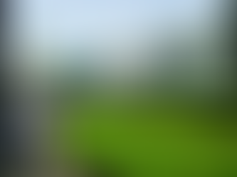 Bourse du gouvernement irlandais 2022 | Entièrement financé