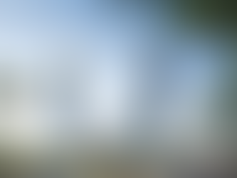 Bourse de l'Université du Qatar 2022 | Entièrement financé