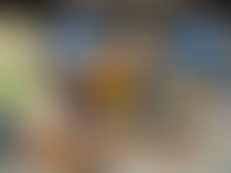 Palacana on Great Day KC